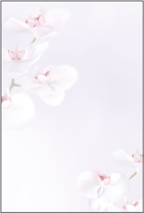 喪中はがき 胡蝶蘭