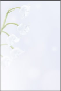 喪中はがき 白すずらん