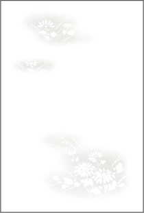 喪中はがき 野菊