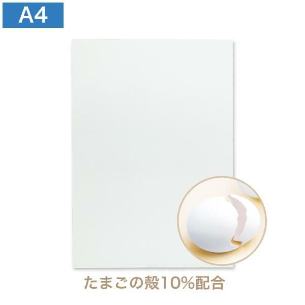 AS1500 名刺用紙 A4（9号10丁付） たま殻 CoC 名刺用紙