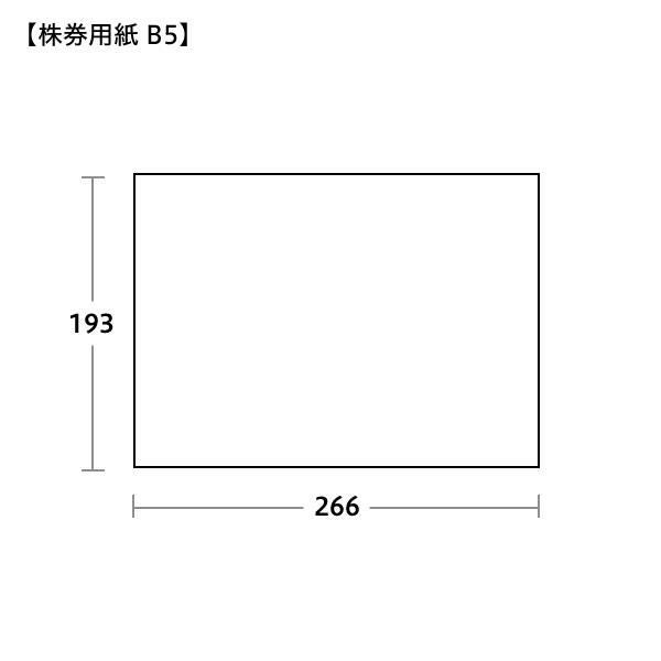 SK0252 株券用紙 優 B5 裏なし ミドリ