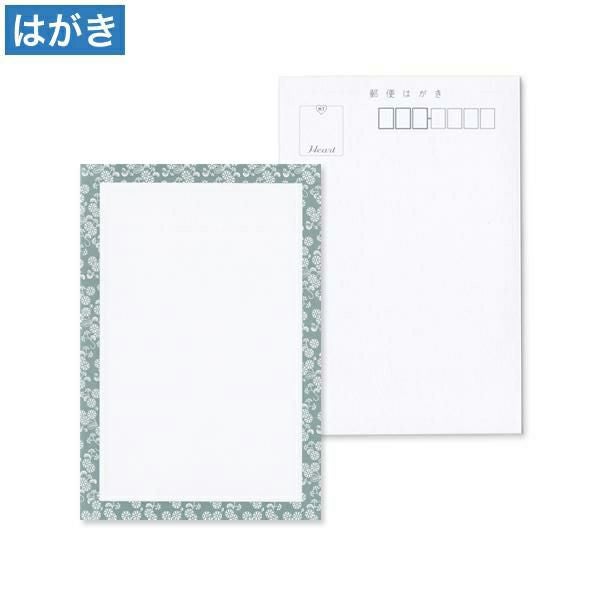 PM2973 はがき 白小菊 会葬枠