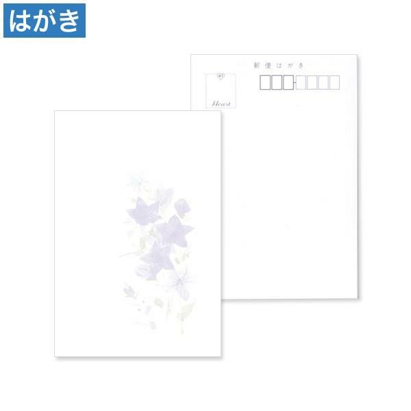 PM2624 喪中はがき 桔梗