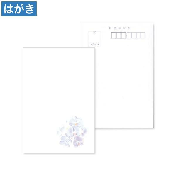 PM2641 喪中はがき 紫彩蘭