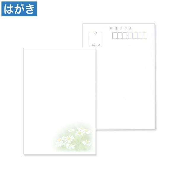 PM2648 喪中はがき 小菊
