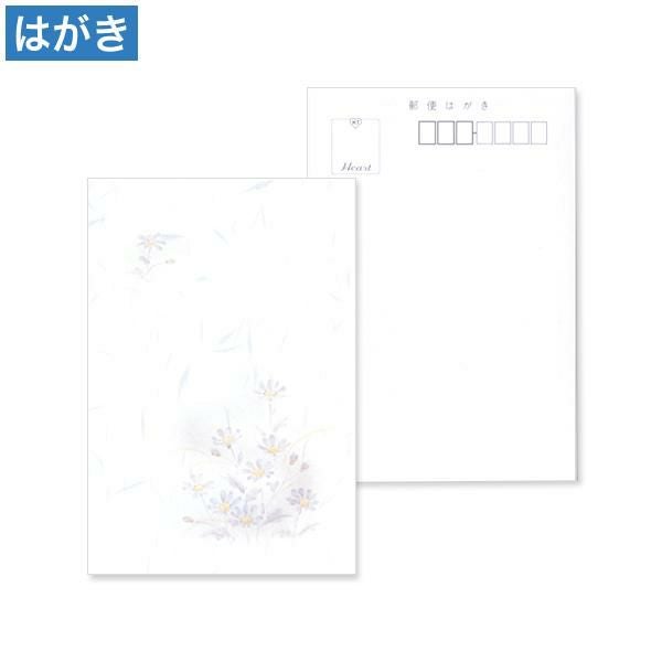 PM2675 喪中はがき 蒼菊