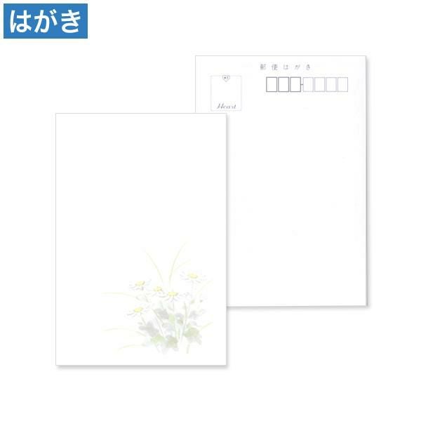 PM2623 喪中はがき 花菊