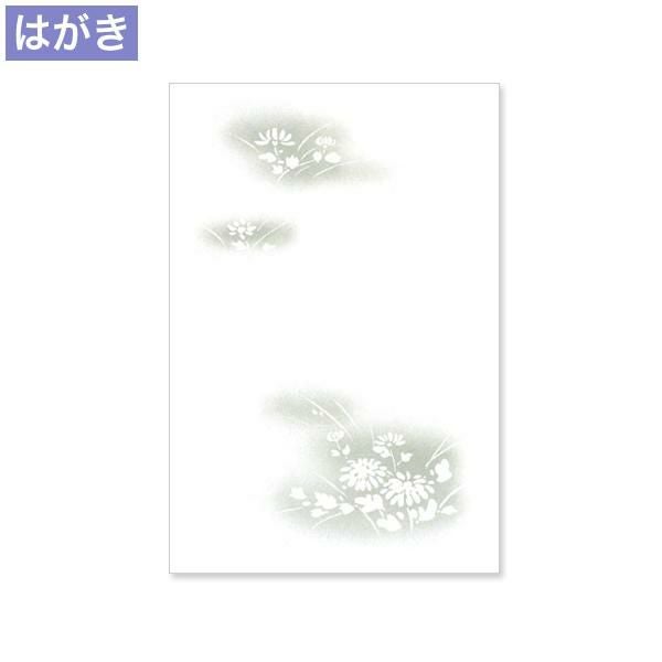PLG625 喪中はがき 野菊 レーザープリンター専用
