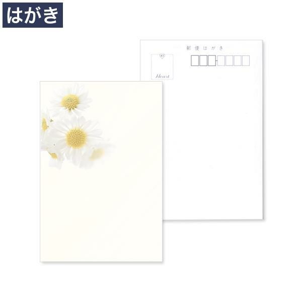PX0620 喪中はがき 白小菊 フォトセレクト マルチプリンター対応