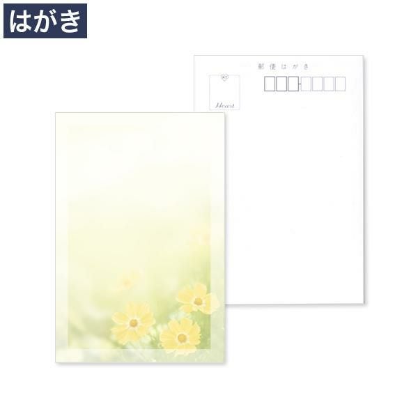 PX0630 喪中はがき コスモス フォトセレクト マルチプリンター対応