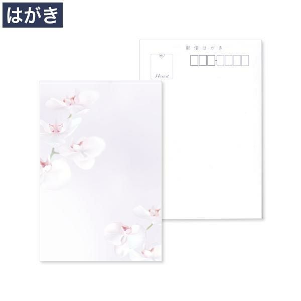 PX0640 喪中はがき 胡蝶蘭 フォトセレクト マルチプリンター対応