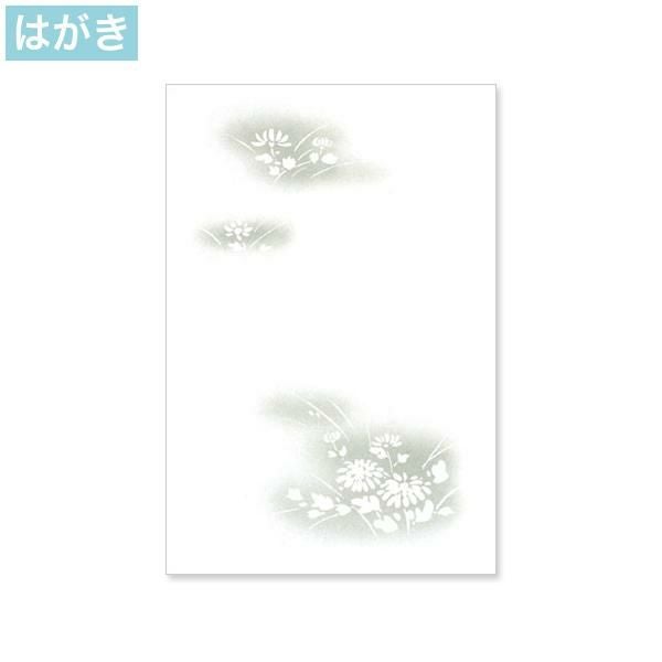 PJG625 喪中はがき 野菊 インクジェットプリンター専用