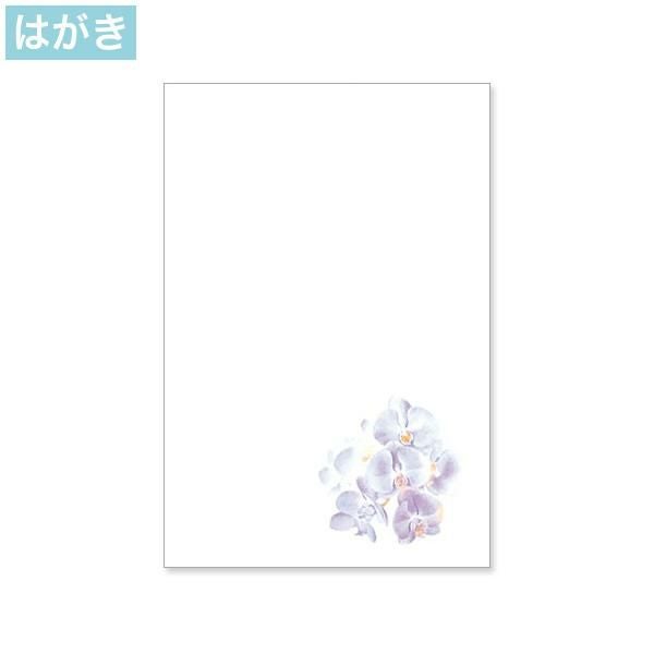 PJG641 喪中はがき 紫彩蘭 インクジェットプリンター専用