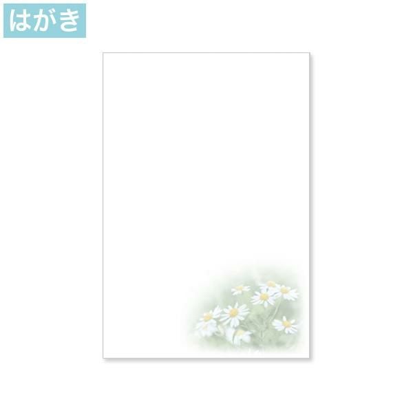 PJG648 喪中はがき 小菊 インクジェットプリンター専用