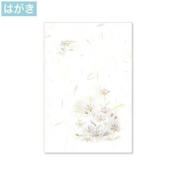 PJG675 喪中はがき 白雲礼 蒼菊 インクジェットプリンター専用