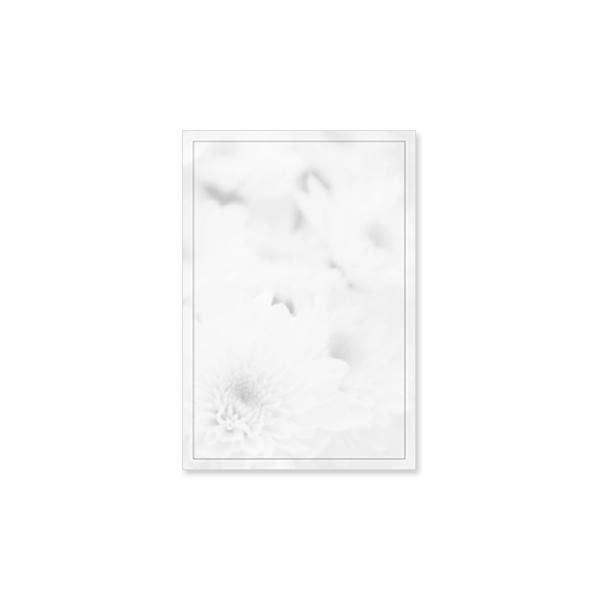 CF0782 会葬礼状 白菊 単判(御礼入)