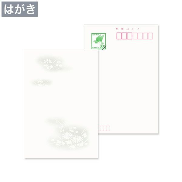 hm0001 喪中はがき 野菊 日本郵便はがき M1