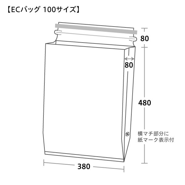 ECバッグ（eコマースバッグ）宅配袋 発送袋 100サイズ