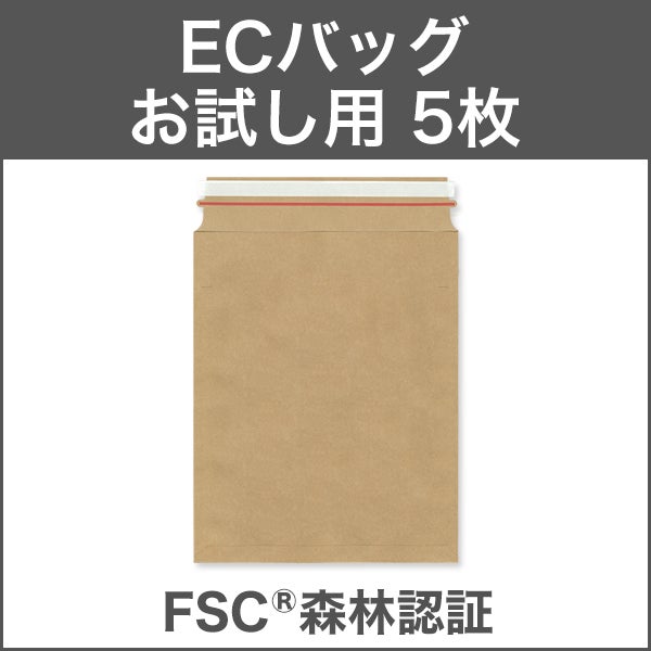 BR0110_5 ECバッグ 100サイズ 未晒クラフト CoC 120 g/㎡ 宅配袋 発送袋 お試し用